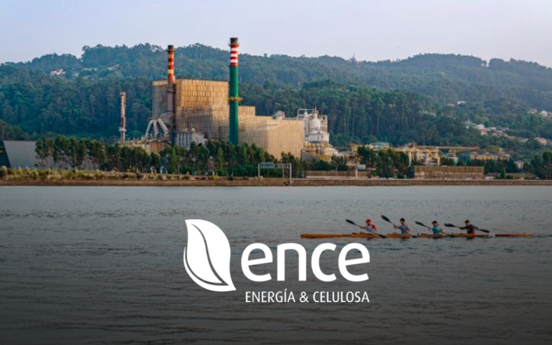 ENCE ENEGÍA Y CELULOSA SA