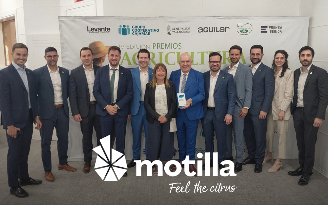 MOTILLA